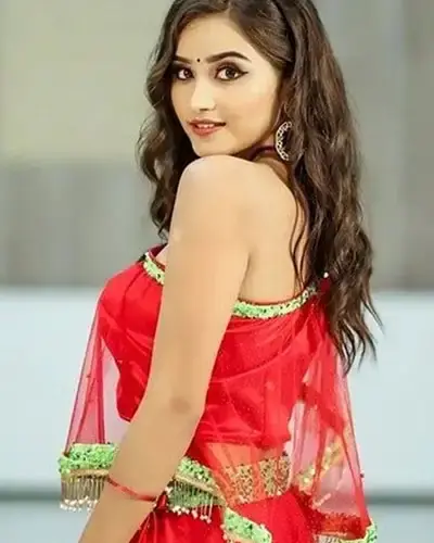 Escort In Hanamkonda